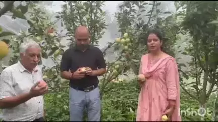 हमीरपुर: एपीएमसी बागवानों की उपज के विपणन की व्यवस्था करेगी, अध्यक्ष ने बागवान देशराज शर्मा के बागीचे का दौरा किया