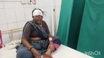 अशोक नगर: पुरानी सब्जी मंडी में आवारा सांड़ ने 44 वर्षीय महिला पर किया हमला, घायल ज़िला अस्पताल में भर्ती