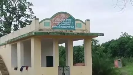 ନର୍ଲା: ବାଙ୍କେଲ ଗାଁରେ ହାତୀ ଉପଦ୍ରବ, ଚିନ୍ତାରେ ଗ୍ରାମବାସୀ ଓ ଚାଷୀ #jansamasya