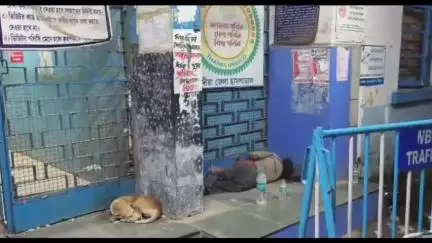 কৃষ্ণনগর ১: শক্তিনগর জেলা হাসপাতাল চত্বরে বিনা চিকিৎসায় মৃত্যু হলো ভবঘুরে রোগীর, মৃত্যুর পর এলো চিকিৎসক
