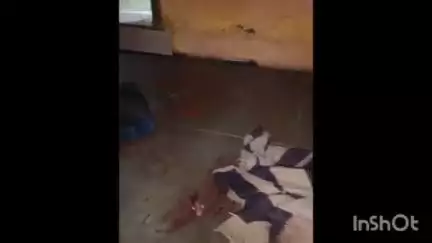 ताल: ताल में घर के बाहर सो रहे व्यक्ति से अज्ञात लोगों ने की मारपीट, आंखों में मिर्ची डाली और पत्थर से हमला किया