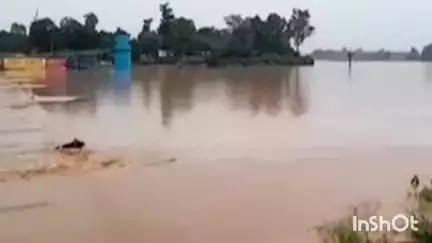 रामानुजगंज: रामानुजगंज क्षेत्र में जमकर हो रही बारिश, नदियों में बढ़ा जलस्तर
