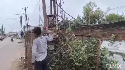 मुरैना नगर: बनखंडी रोड पर गुरुद्वारे के पास करंट से गोवंश की मौत, विद्युत विभाग पर लापरवाही का आरोप, हंगामा