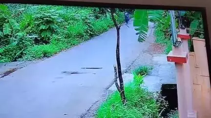 കണ്ണൂർ: വീണ്ടും തെരുവ് നായ ആക്രമണം, കടമ്പൂരിൽ സ്ത്രീയെ ആക്രമിക്കുന്ന സി.സി.ടി.വി ദൃശ്യം പുറത്ത്