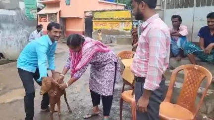রামপুরহাট ২: ভ্রাম্যমান প্রাণী চিকিৎসালয়ের ক্যাম্প অনুষ্ঠিত হলো মাড়গ্রামে