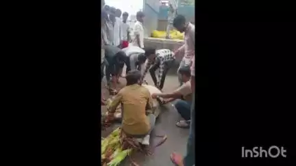 जावरा: फोरलेन सर्किट हाउस रोड चौराहे पर ट्रक ने गाय को मारी टक्कर, पैर जख्मी, गौशाला भेजा गया