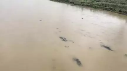 গোপীবল্লভপুর ১: গালুডী ব্যারেজ থেকে ১লক্ষ ২৮হাজার কিউসেক জল ছাড়ায় নদী তীরবর্তী গ্রাম গুলোকে সতর্ক করল গোপীবল্লভপুর ব্লক প্রশাসন