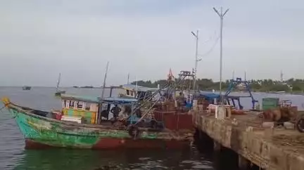 மணமேல்குடி: அதிக காற்றின் காரணமாக மீன் வரத்து குறைவு மீனவர்கள் கவலை ஜெகதாபட்டினம் மணமேல்குடியில் மீனவர்கள் ஏமாற்றமடைந்தனர்