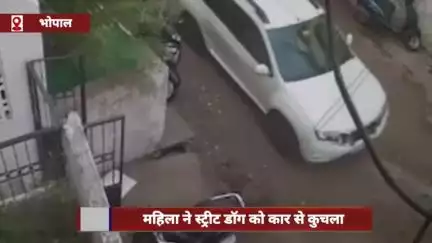 हुज़ूर: भोपाल में महिला ने स्ट्रीट डॉग को कार से कुचला, CCTV में कैद हुई घटना