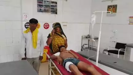 इटावा: बढ़पुरा इलाके के चंबल नदी में नहाते समय किशोर पर मगरमच्छ ने किया हमला, दोस्तों की मदद से बची जान, जिला अस्पताल में भर्ती