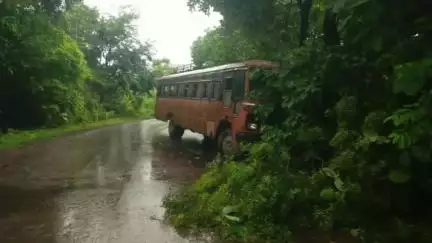 पाटण: जानुगडेवाडीनजीक एसटी बस चालकाचा ताबा सुटून एसटी बसची झाडाला धडक, विद्यार्थ्यांसह ३० जण जखमी