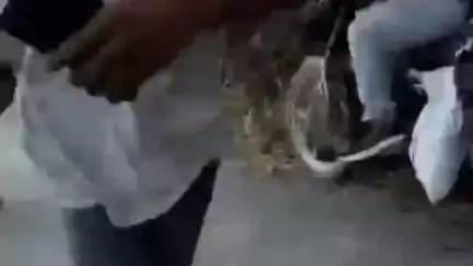 तमकुही राज: जवही नरेंद्र में आम तोड़ने के विवाद में ग्राम प्रधान ने लहराया असलहा, दो पक्षों में मारपीट, कई लोग हिरासत में