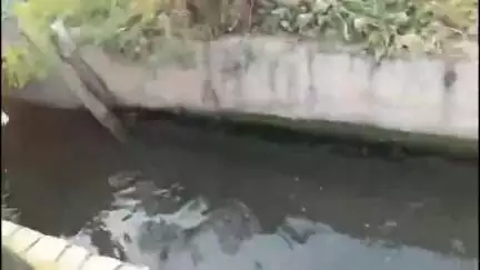 जगाधरी: सरस्वती का पानी रोकने और गंदगी डालने वालों पर होगी कार्रवाई: धूमन सिंह किरमिच