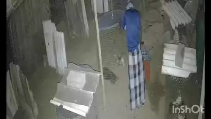 மேட்டுப்பாளையம்: தலையில் முக்காடு போட்டுக்கொண்டு காரமடையில் இருக்கும் கோழிப்பண்ணையில் சண்டை சேவல்களை திருடிய மர்ம நபர்களின் CCTV காட்சிகள்