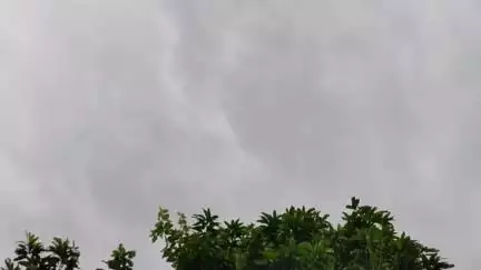 ठाकुरगंज पौआखाली का मौसम.....
#किशनगंज