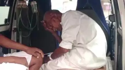 হবিবপুর: বেগুনবাড়ি এলাকায় গাছে আম পাড়তে গিয়ে অসংখ্য বোলতার কামড়ে অসুস্থ এক বৃদ্ধ,রেফার মালদা হাসপাতালে