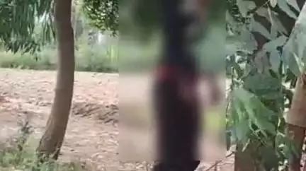 लहरपुर: कन्नपुर गांव के निकट सीतापुर मार्ग के किनारे 24 वर्षीय युवक ने फांसी लगाकर आत्महत्या की, पुलिस ने शव पीएम के लिए भेजा