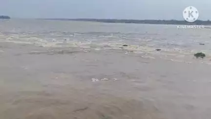 নয়াগ্রাম: গালুডি থেকে ২ লক্ষ ৪৩ হাজার ৬৫০ কিউসেক জল ছাড়ায় নয়াগ্ৰাম ব্লকের সুবর্ণরেখা নদীতে বাড়ল জলস্তর, শুরু নজরদারি