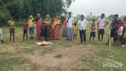 গঙ্গারামপুর: গঙ্গারামপুর ব্লকের মহুর কিসমত এলাকায় বিষাক্ত চন্দ্রবোড়া সাপ উদ্ধার