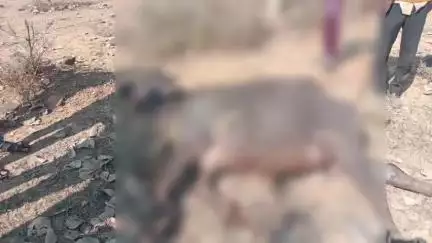 शाहबाद: शाहबाद क्षेत्र में मौसम में परिवर्तन, मानसून की पहली बारिश हुई जबरदस्त