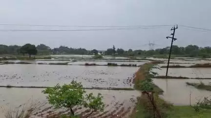सिमडेगा: 48 घंटे से मूसलाधार बारिश से जनजीवन अस्त-व्यस्त, सिमडेगा डीसी ने लोगों के लिए एडवाइजरी जारी की