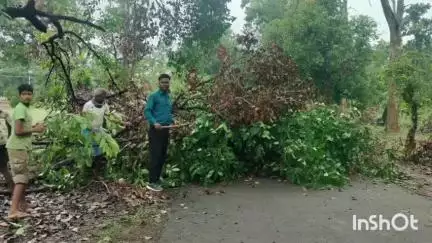 उदयपुर: ग्राम केदमा और मतरिंगा मुख्यमार्ग में जामुन पेड़ की डगाल गिरने से आवागमन बाधित, HM ने ग्रामीणों की मदद से हटाया डगाल