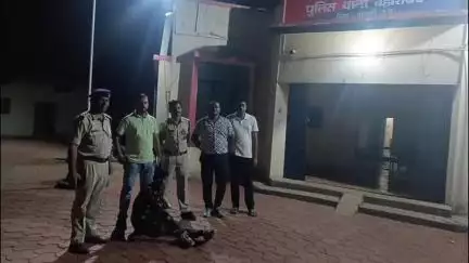 बहोरीबंद: सिजहरी में दामाद ने कुल्हाड़ी से ससुर की हत्या की, बहोरीबंद पुलिस ने 24 घंटे में किया खुलासा