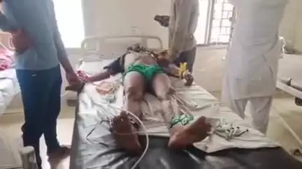 टीकमगढ़: मवई गांव में सांप ने एक व्यक्ति को डसा, झाड़-फूंक से आराम नहीं मिलने पर मेडिकल कॉलेज रेफर