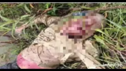 ಬೀದರ್: ನೆಮತಾಬಾದ್ ಸಮೀಪದ ಮಾಂಜ್ರಾ ನದಿಯಲ್ಲಿ ಅಪರಿಚಿತ ಮೃತದೇಹ ಪತ್ತೆ, ಪೊಲೀಸ್ ಪ್ರಕಟಣೆ