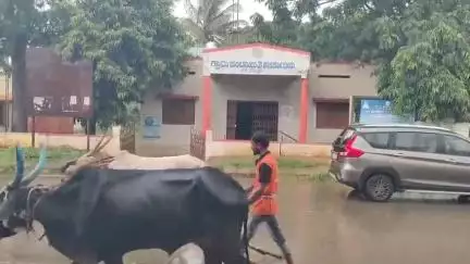 ಚಿತ್ರದುರ್ಗ: ಡಿಎಪಿ ರಸಗೊಬ್ಬರ ಅಭಾವ ಸೃಷ್ಠಿ ಚಿತ್ರದುರ್ಗ ಜಿಲ್ಲೆಯಲ್ಲಿ ಅನ್ನದಾತ ಕಂಗಾಲು