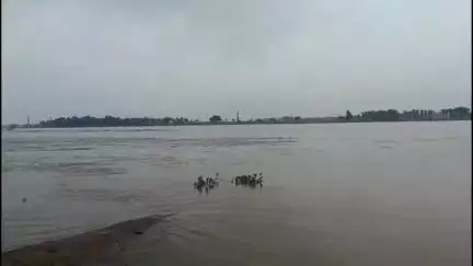 डोभी: करमा में नदी की तेज धारा में बहा एक व्यक्ति, एसडीआरएफ की टीम खोज में जुटी