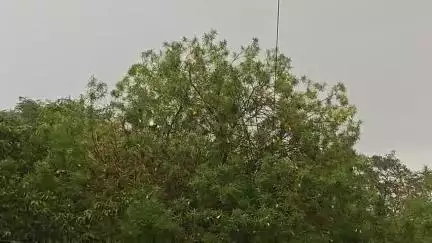 झांसी: ललितपुर के रास्ते झांसी आया मानसून, 7 दिन में तापमान 8 डिग्री गिरा, 20 से 22 जून तक तेज वर्षा की संभावना