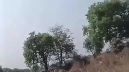 बुलढाणा: लाकूड भरलेला ट्रक सोडल्या प्रकरणी वन अधिकाऱ्यांना निलंबित करा, समाजवादी पार्टीचे जिल्हाधिकारी यांना निवेदन
