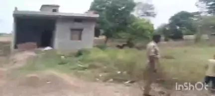 बलिया: पुलिस ने कोरण्टाडीह डाक बंगला के पास एनएच-31 पर एक ट्रक से 16 गौवंश बरामद किए, चालक फरार
