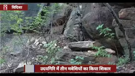 उदयगिरि में तेंदुए ने तीन मवेशियों का किया शिकार, वन विभाग ने जारी की एडवाइजरी
