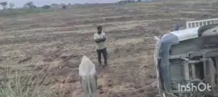 बलिया: नरही पुलिस ने चुरैली गांव के पास पिकअप से पकड़ी 5 गोवंश, चालक फरार