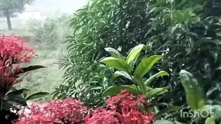 कुनकुरी: कुनकुरी शहर में बारिश का लगातार तीसरा दिन, मौसम विभाग ने अगले 24 घंटे के लिए बारिश का अलर्ट किया जारी
