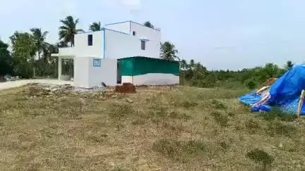 திருப்பத்தூர்: காக்கங்கரை பகுதியில் வளர்ப்பு நாயை நாட்டு துப்பாக்கியால் சுட்ட நரிக்குறவர் இளைஞர் கைது - துப்பாக்கி பறிமுதல்