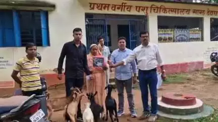 सारठ: पशु अस्पताल सारठ में 10 लाभुकों को मुख्यमंत्री पशुधन योजना से 40 बकरी व 10 बकरा मिला, स्वरोजगार देना है उद्देश्य