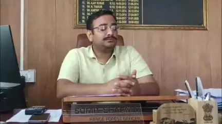धर्मशाला: त्रियूंड जाने के लिए बनेंगे नए नियम, 10 से 15 सैलानियों को ही ले जा सकेगा एक गाइड: FRO सुमित शर्मा