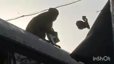 कासगंज: कासगंज के बस स्टैंड पर यात्री बंदरों से परेशान, बंदर मोबाइल और चश्मा छीनकर कर रहे हैं नुकसान