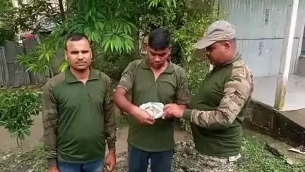 কুমারগ্রাম: দক্ষিণ কামাখ্যাগুড়ির একটি বাড়ি থেকে ৫টি সাপের ডিম উদ্ধার করলেন বনকর্মীরা