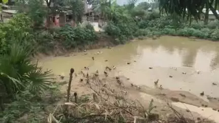 सनहौला: जलहा में पहले जेसीबी से खुदवाया तालाब, फिर मनरेगा अधिकारी के संरक्षण में उठाया जा रहा अवैध पैसा