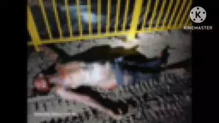 चेनारी: टेकरी और सबराबाद गांव के समीप एनएच 19 पर अज्ञात वाहन की चपेट में आने से विक्षिप्त व्यक्ति की घटना स्थल पर हुई मौत