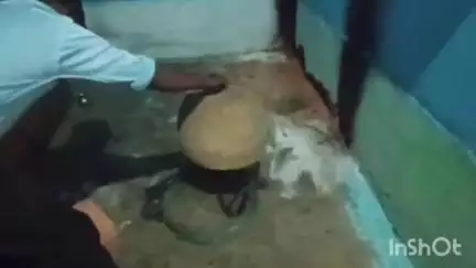 कोरबा: बाता गांव में सर्प दंश से युवक की मौत, करैत सांप का 19 घंटे बाद किया गया रेस्क्यू