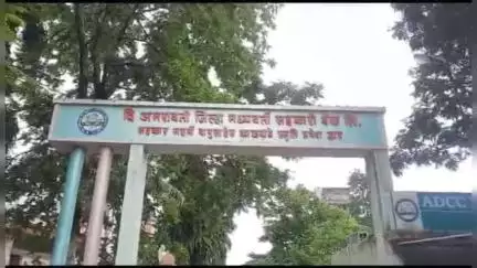 अमरावती: जिल्हा बँक अपात्रता प्रकरणी बच्चू कडू यांना दिलासा नाही;कोर्टाचा स्थगितीला नकार
