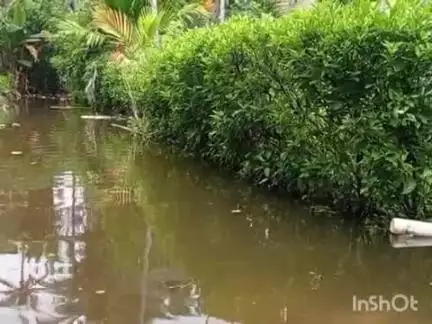 കുട്ടനാട്: വെള്ളക്കെട്ടിൽ ദുരിതം പേറുന്ന കൈനകരി നിവാസികൾക്ക് ഭക്ഷ്യധാന്യം നൽകിയില്ലെന്ന് പരാതി