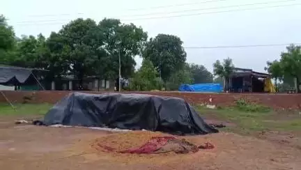 ଝାରସୁଗୁଡା: ଲଖନପୁର ବ୍ଲକ ୧୯ ଖଣ୍ଡ ମୌଜାରେ ବର୍ଷାରେ ଭିଜି ନଷ୍ଟ ଧାନର କ୍ଷତି ପୂରଣ ଦାବି କଲେ ଚାଷୀ #jansamasya