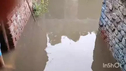 फिरोज़ाबाद: दुर्गेश नगर, सलमान फारसी मस्जिद वाली गली, रहीम नगर गली में गलियां नाली न बनने से बरसात पर घरों में घुसा पानी #jansamasya