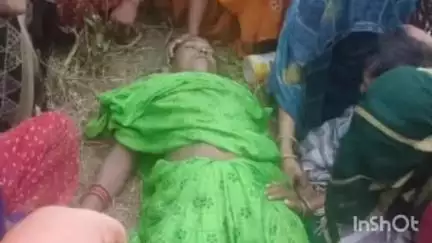भोगांव: बड़ी हविलिया में खेत में भैंस चराते समय आकाशीय बिजली गिरने से महिला की मौत